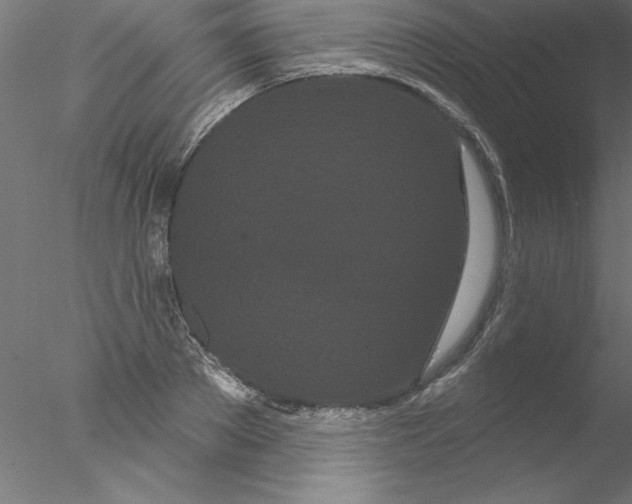 X0000076440889200611031902