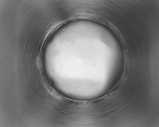 X0000076440891200611031902