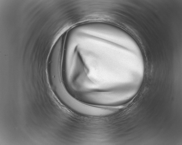 X0000076440899200611031902