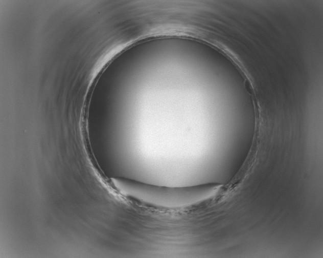 X0000076440901200611031902