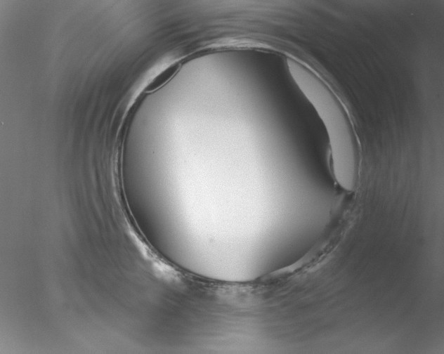 X0000076440909200611031902
