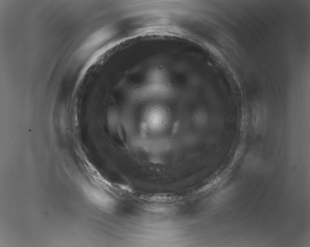 X0000076440923200611031901