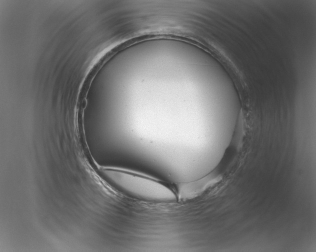 X0000076440932200611031901