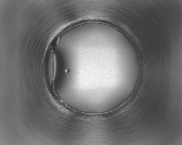 X0000076440934200611031901