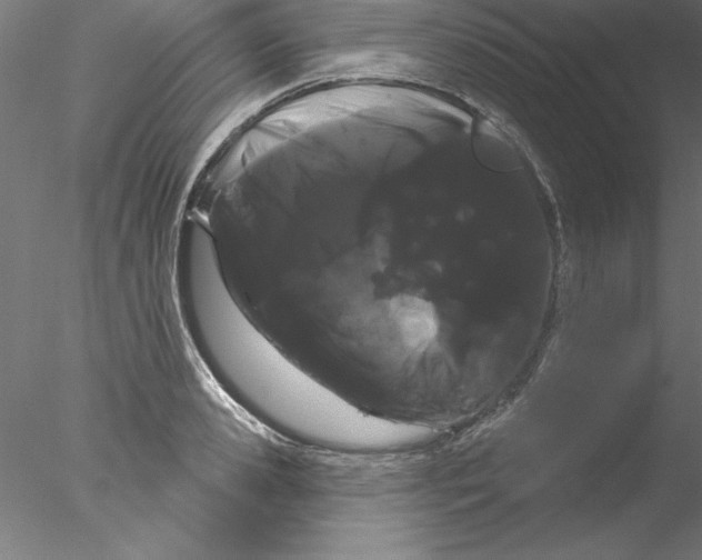 X0000076440941200611031901