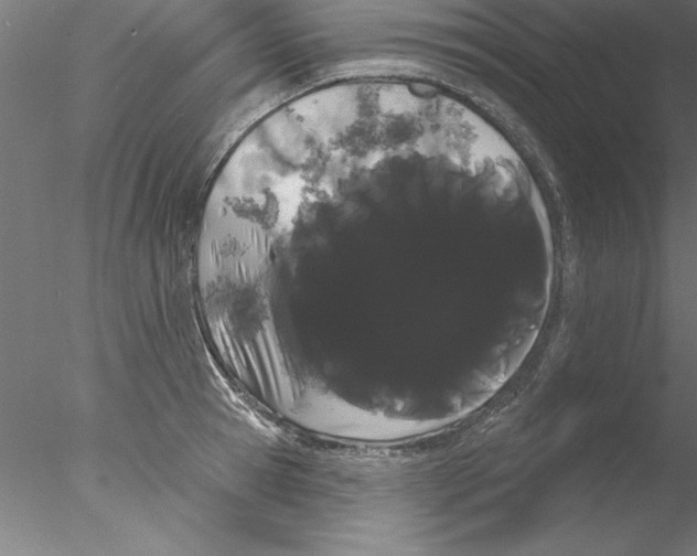 X0000076440945200611031902