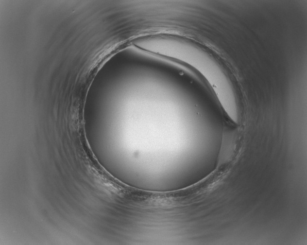 X0000076440977200611031901