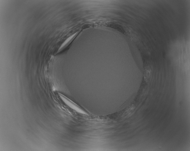 X0000076441010200611031859