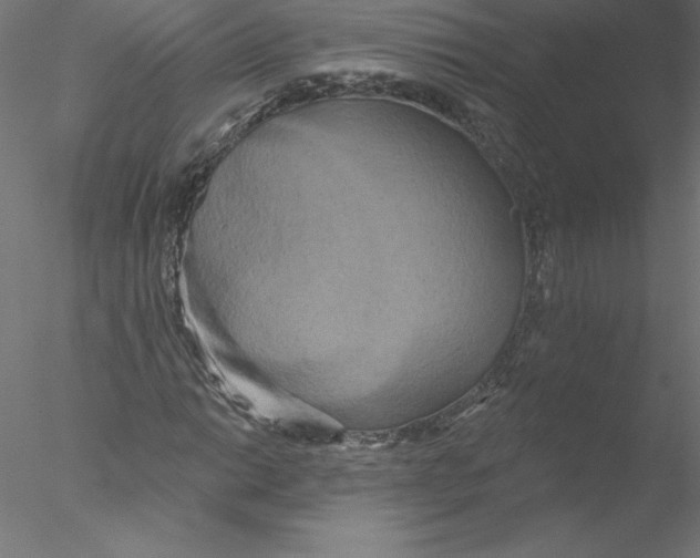 X0000076441014200611031859