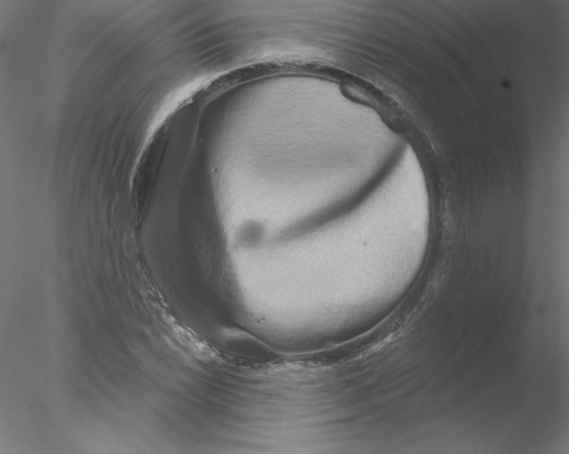 X0000076441022200611031900
