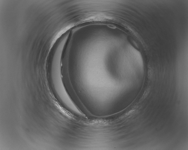 X0000076441026200611031900