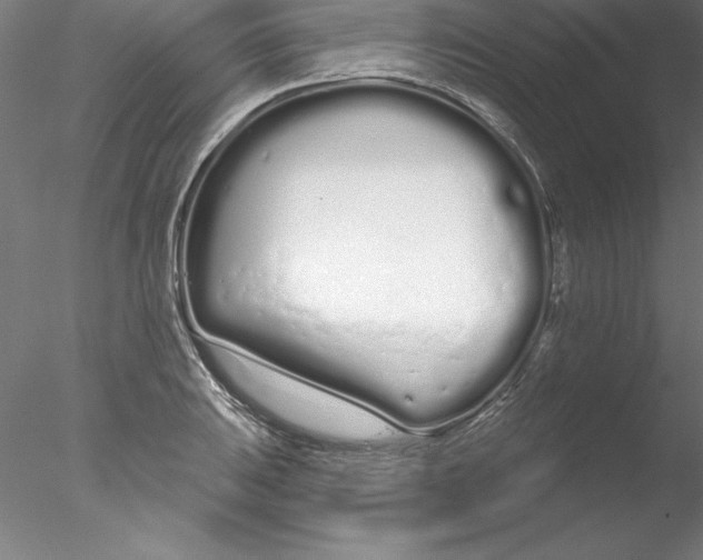 X0000076441031200611031900