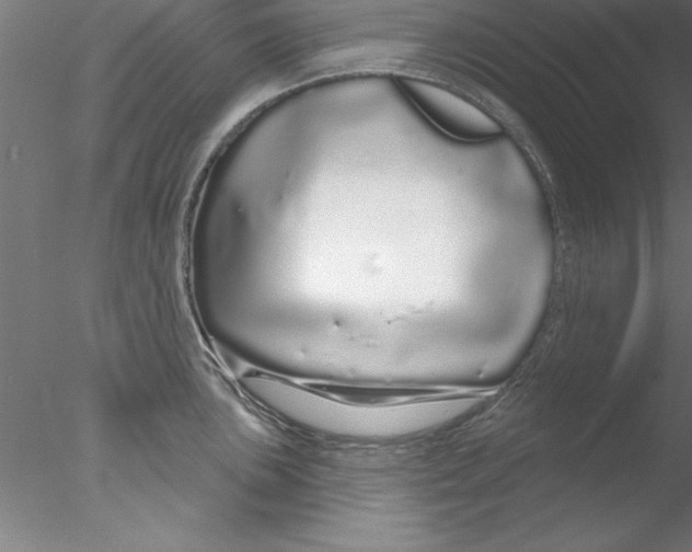 X0000076441051200611031900