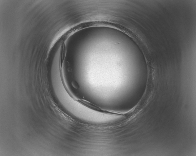 X0000076441069200611031859
