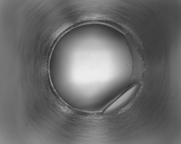 X0000076441073200611031859