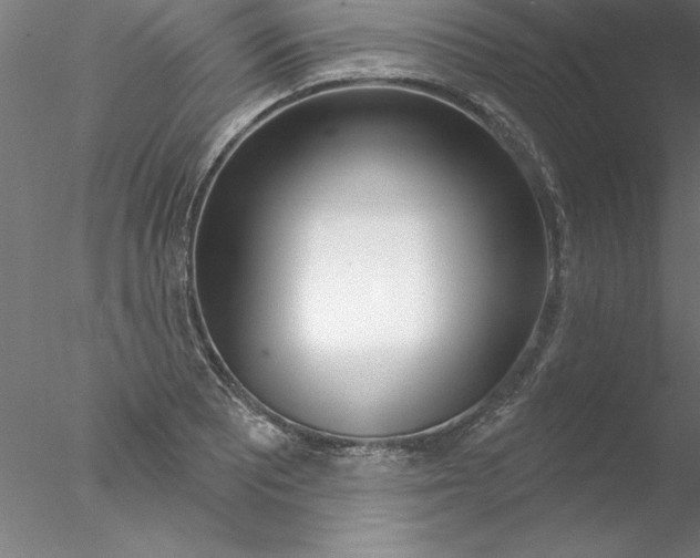 X0000076441081200611031859