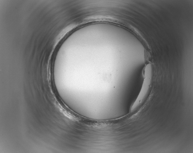 X0000076441082200611031859