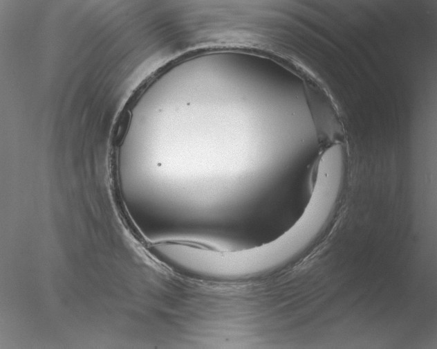X0000076441085200611031859