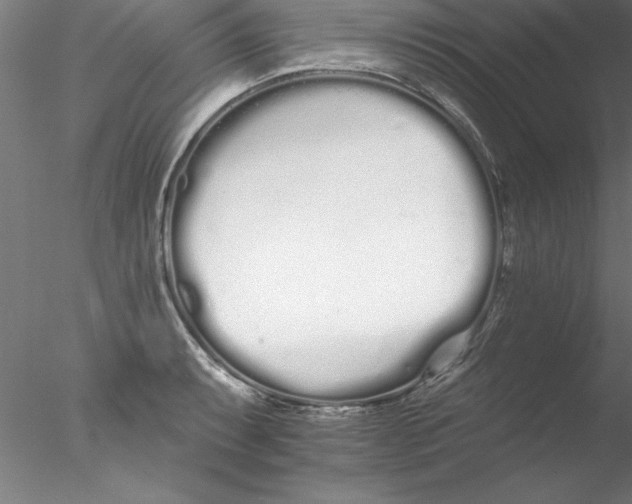 X0000076441087200611031859