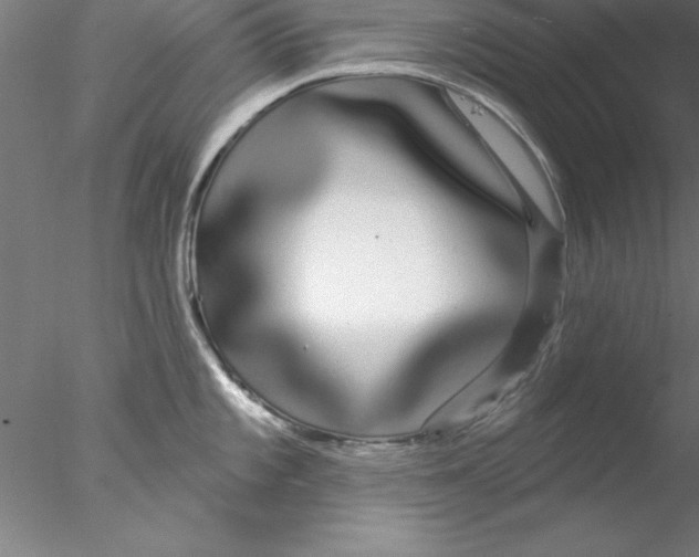 X0000076441101200611031859