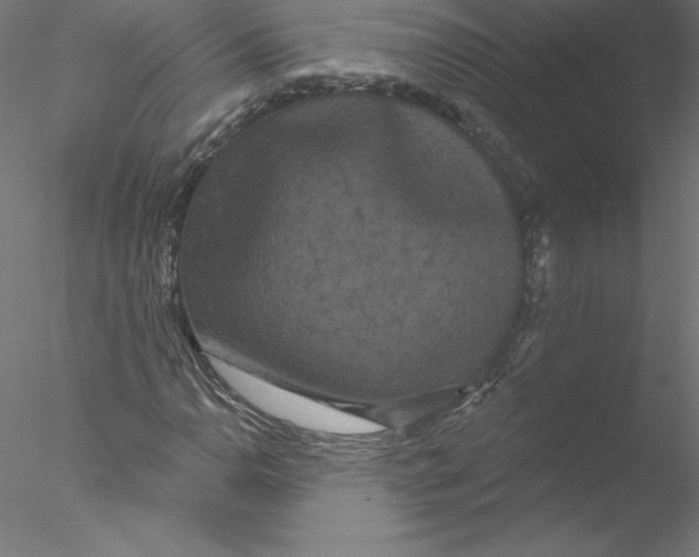 X0000076441110200611031858