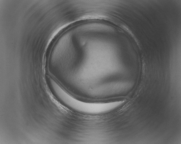 X0000076441124200611031858