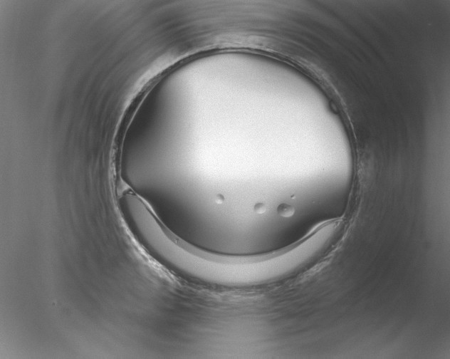X0000076441133200611031858