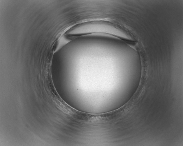 X0000076441169200611031857