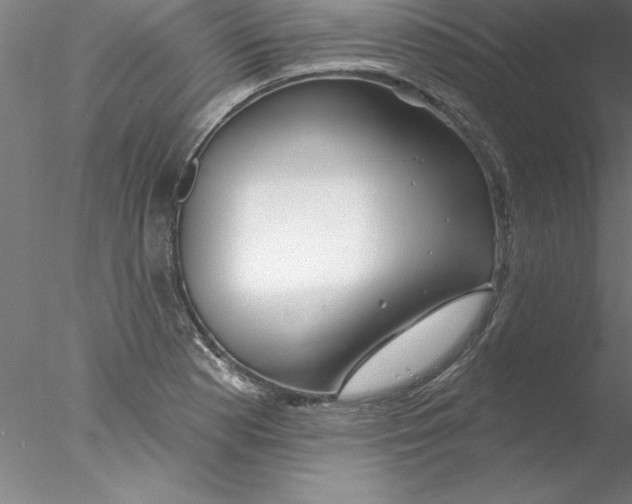 X0000076441177200611031857