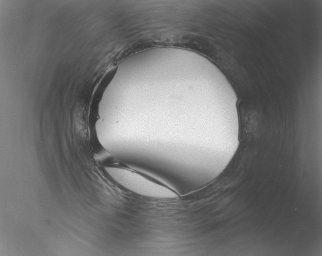 X0000076441202200611031856