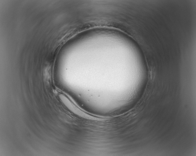 X0000076441251200611031856