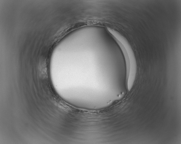 X0000076441252200611031856