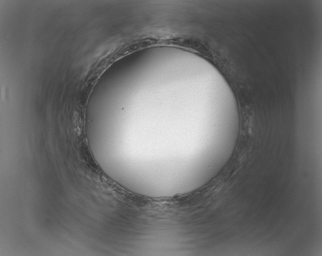 X0000076441253200611031856