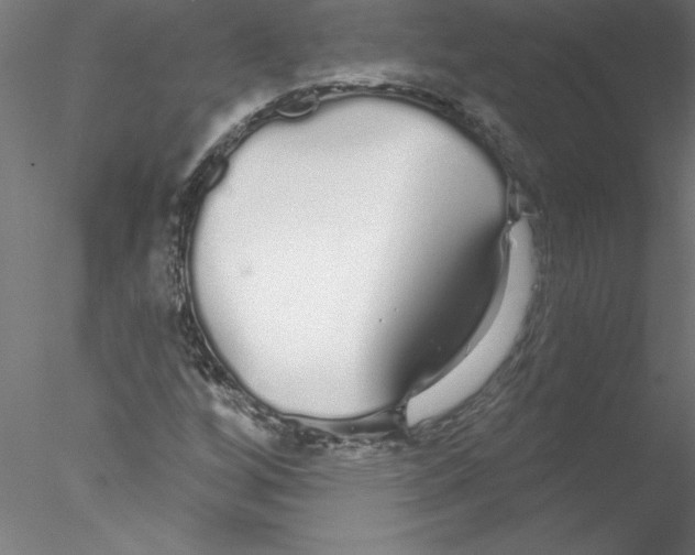 X0000076441256200611031856