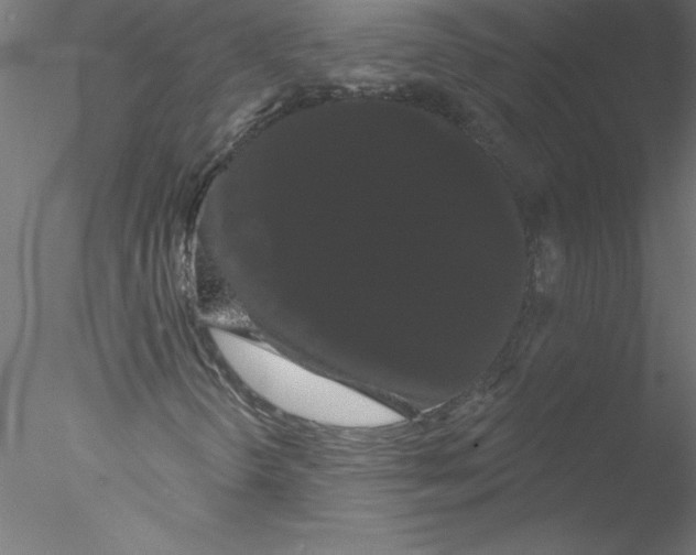 X0000076441298200611031855