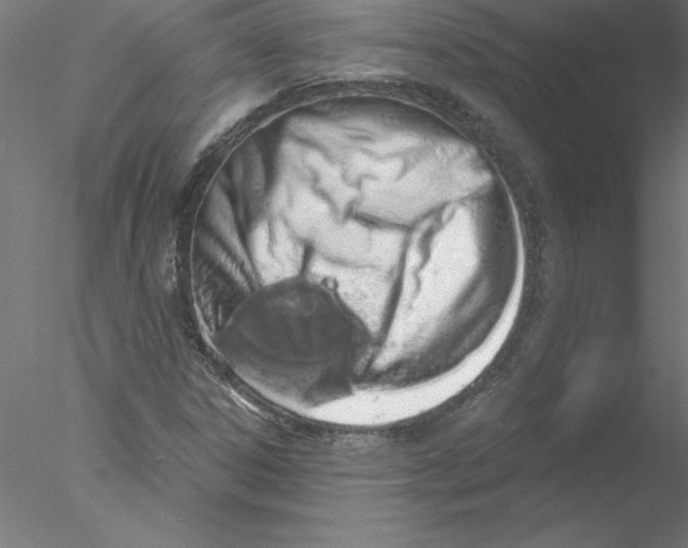 X0000076441306200611031855
