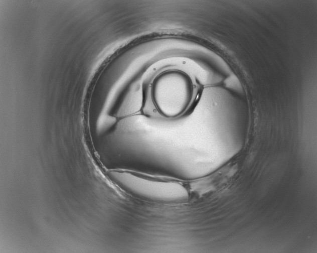X0000076441327200611031855