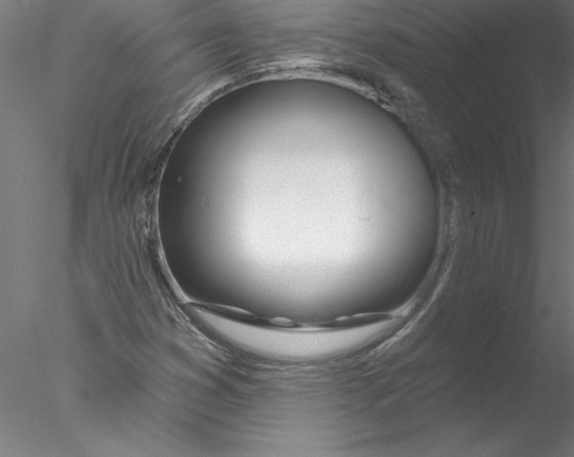 X0000076441353200611031854