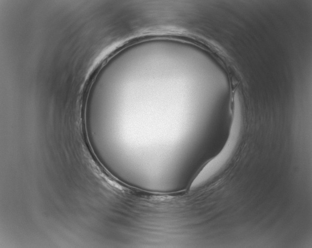 X0000076441364200611031854