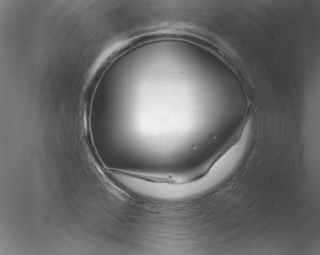 X0000076441368200611031854