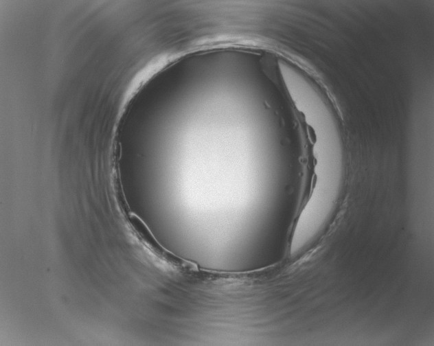 X0000076441373200611031854