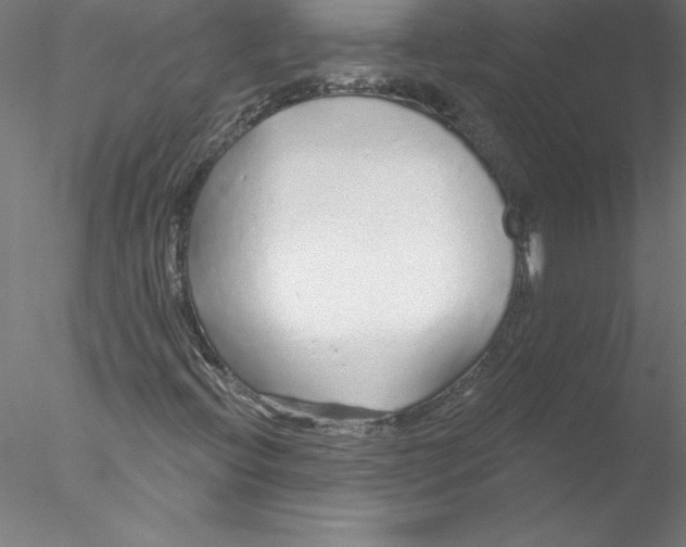 X0000076441396200611031853