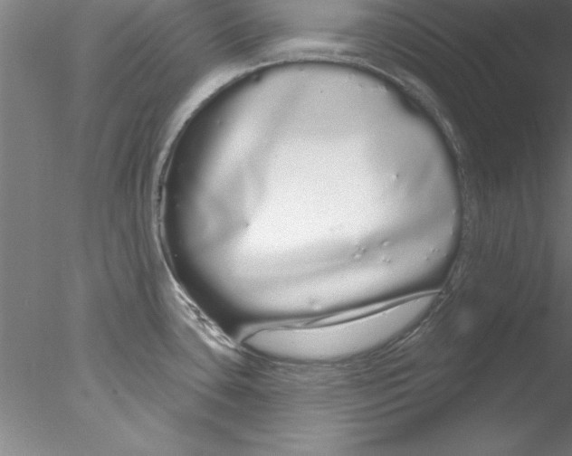 X0000076441435200611031854