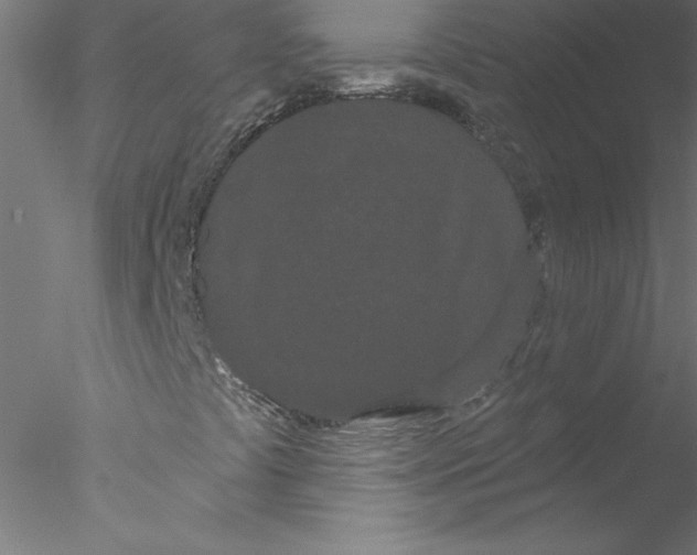 X0000076441441200611031853