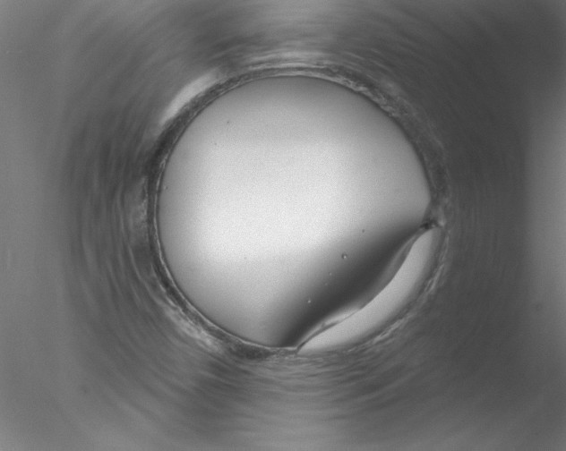 X0000076441450200611031853