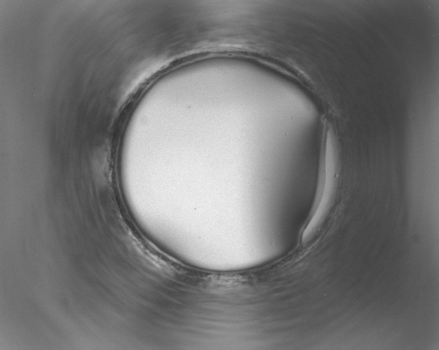 X0000076441452200611031853