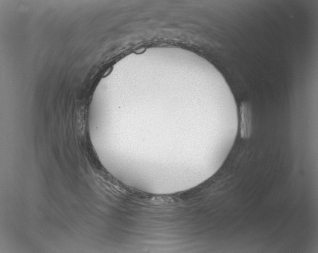 X0000076441491200611031851