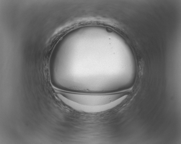 X0000076441494200611031851