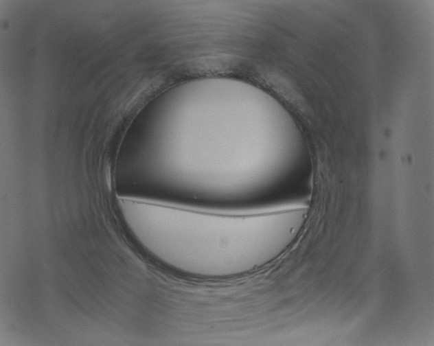 X0000076450021200610061057