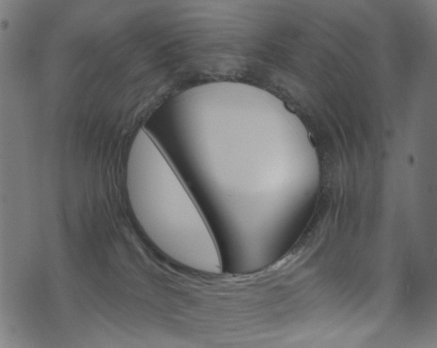 X0000076450040200610061056